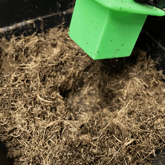 Soil Press - Carimbo para Transplante - Undergrow
