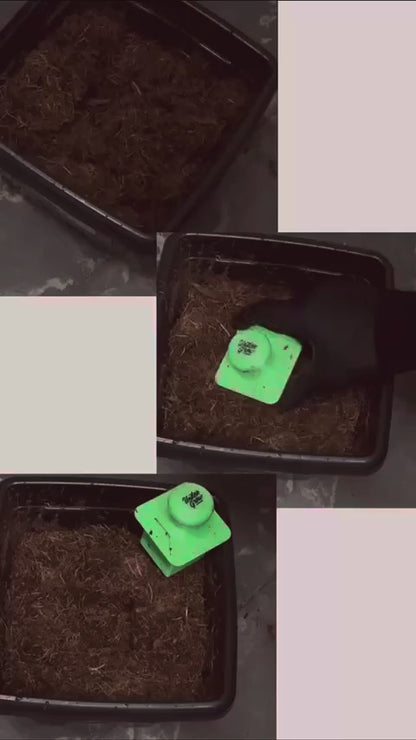 Soil Press - Carimbo para Transplante