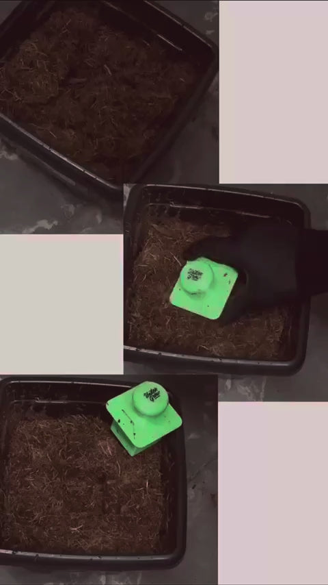 Soil Press - Carimbo para Transplante