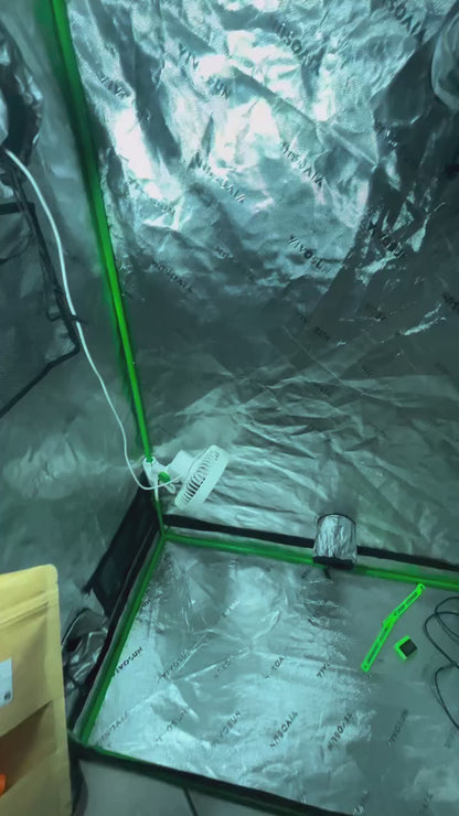 Clip Organizador – Pack com 8 Peças