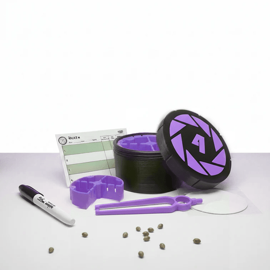 Seed Vault 4 (Roxo) – Germinadora com Divisória - Undergrow