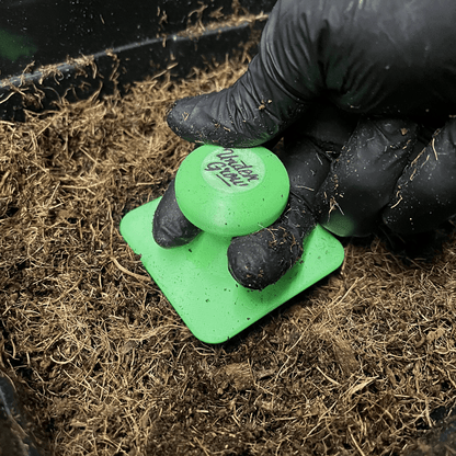 Soil Press - Carimbo para Transplante - Undergrow